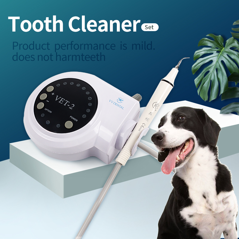 Teeth Whitening Tips - Scaler Ultrasonik Gigi Hewan Peliharaan, Scaler