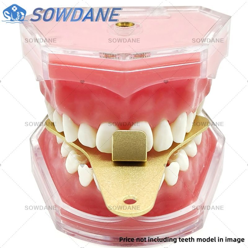 Baki Impresi Laboratorium Gigi - Teeth Whitening Tray ulasan dan harga