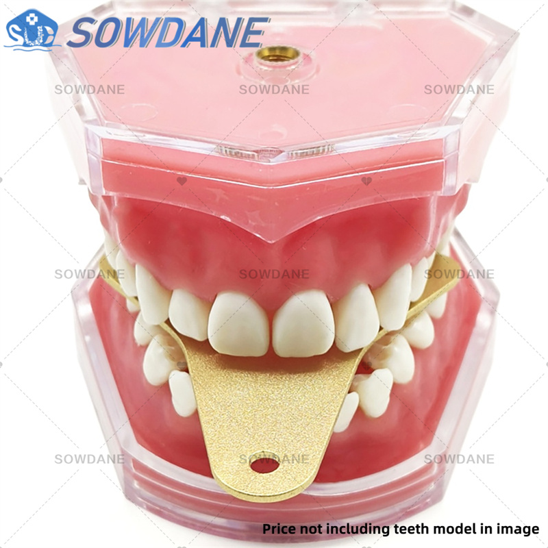 Baki Impresi Laboratorium Gigi - Teeth Whitening Tray ulasan dan harga