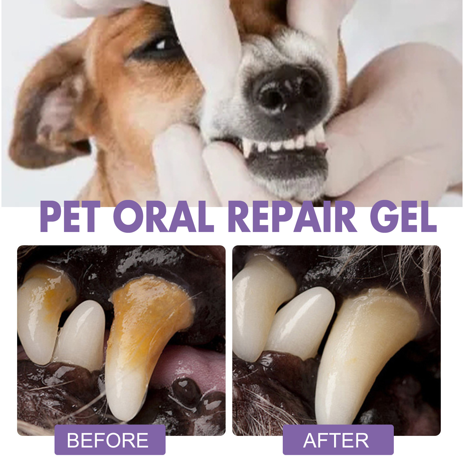 Gel perbaikan mulut hewan peli - Teeth Whitening Cream ulasan dan harga